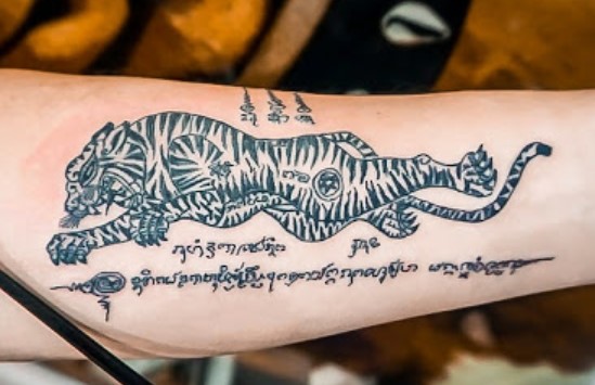 10 Amazing Muay Thai Tiger Tattoo Designs Petpress In 2020 Tiger 10 Amazing Muay Thai Tiger Tattoo Designs Petpress In 2020 Tiger