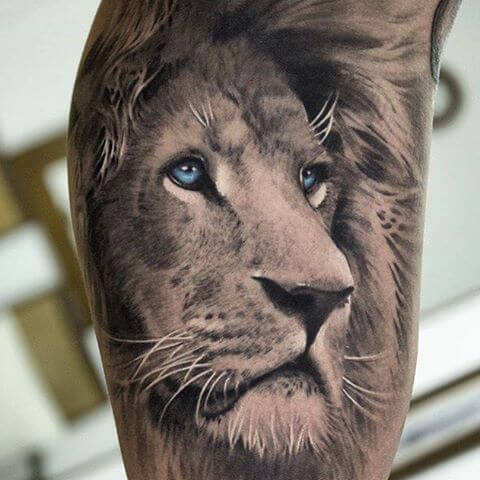 12 Best Lion Tattoo Ideas Lions With Blue Eyes Petpress Tatuagem De Le O No Ombro 12 Best Lion Tattoo Ideas Lions With Blue Eyes Petpress Tatuagem De Le O No Ombro
