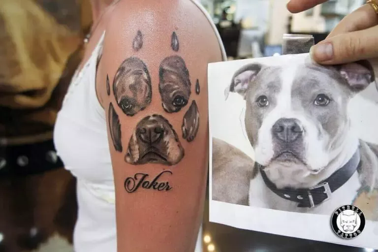 25 Pitbull Tattoo Ideas For Men And Women Petpress Couples Tattoo 25 Pitbull Tattoo Ideas For Men And Women Petpress Couples Tattoo