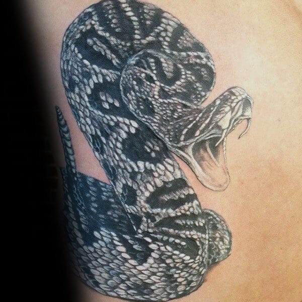 35 Amazing Rattlesnake Tattoo Designs Ideas July 2020 Rattlesnake 35 Amazing Rattlesnake Tattoo Designs Ideas July 2020 Rattlesnake