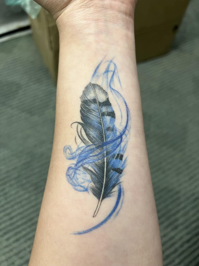 4 Month Healed Blue Jay Feather By Area 6 S Jason In Nyc R Tattoo 4 Month Healed Blue Jay Feather By Area 6 S Jason In Nyc R Tattoo
