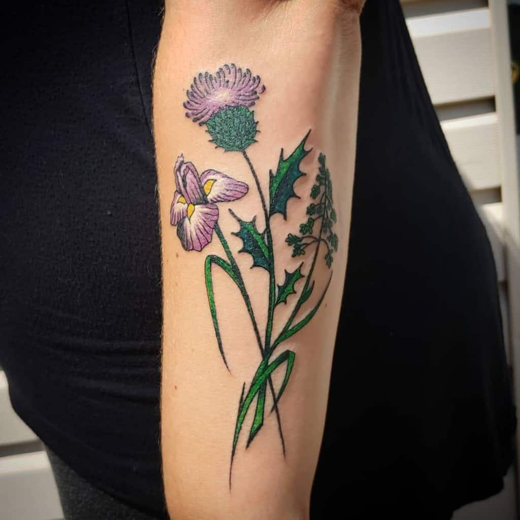 49 Thistle Tattoos Ideas Thistle Tattoo Thistle Tattoos 49 Thistle Tattoos Ideas Thistle Tattoo Thistle Tattoos