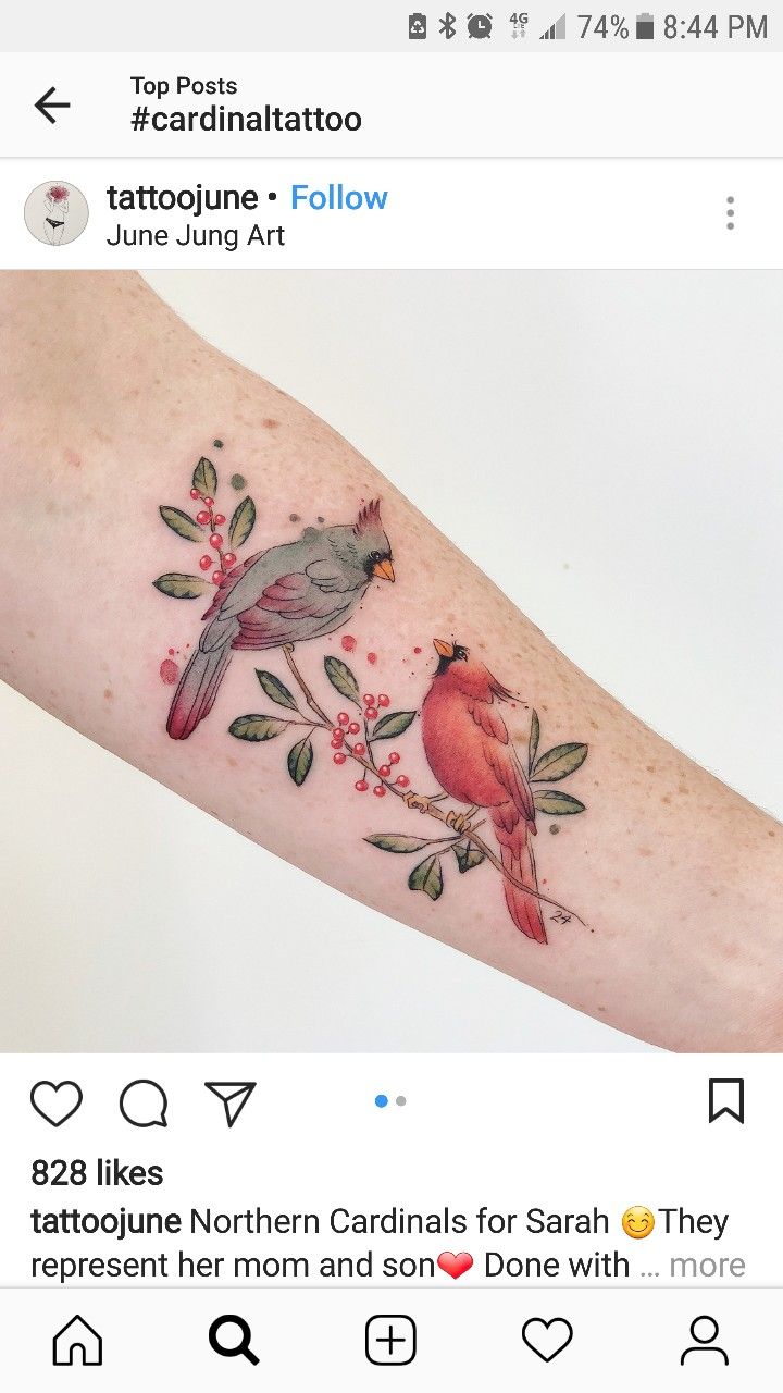 50 Cool Cardinal Tattoo Ideas For Men Women In 2023 Artofit 50 Cool Cardinal Tattoo Ideas For Men Women In 2023 Artofit