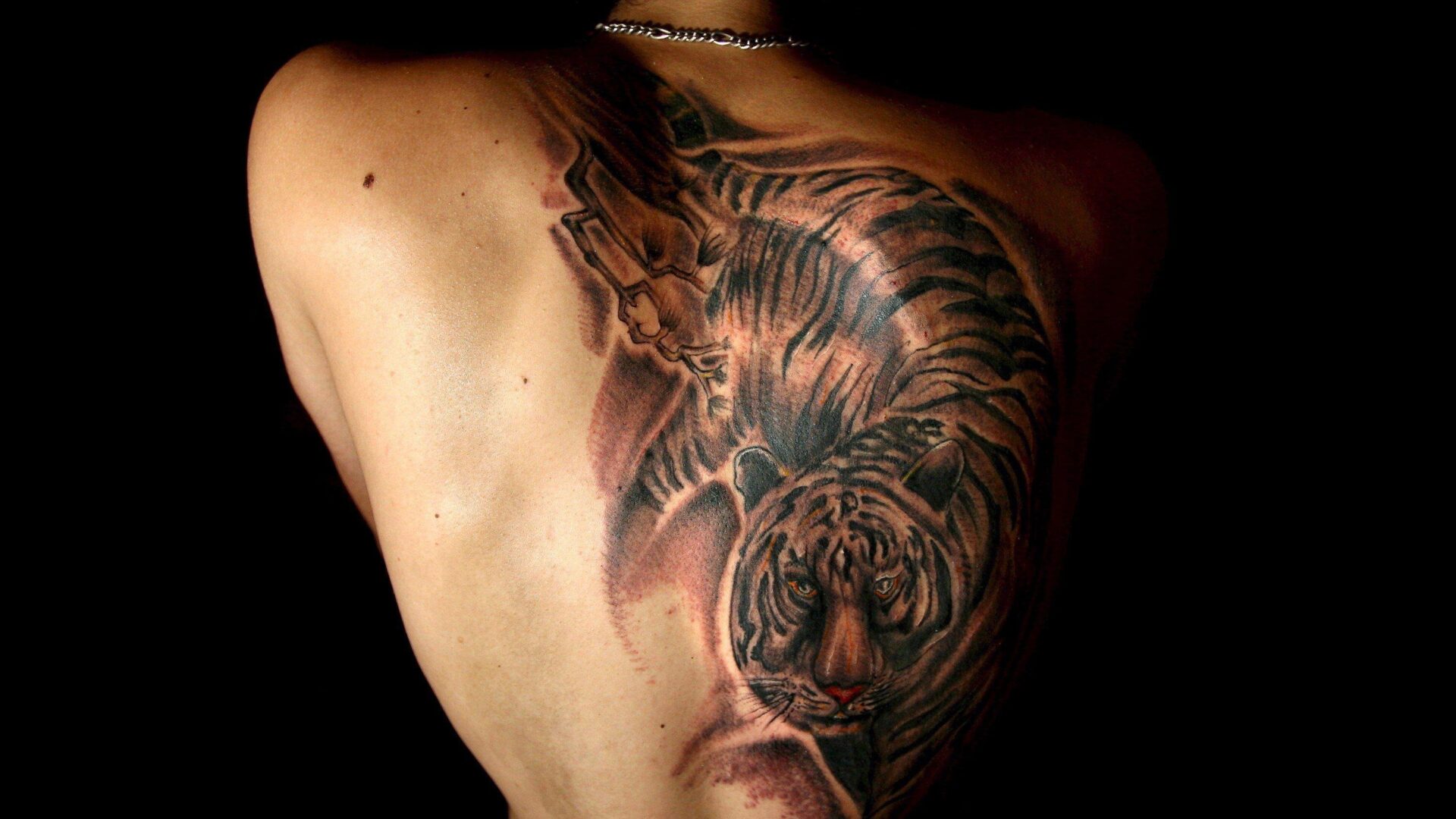 50 Shoulder Blade Tattoo Designs Meanings Best Ideas 2018 50 Shoulder Blade Tattoo Designs Meanings Best Ideas 2018