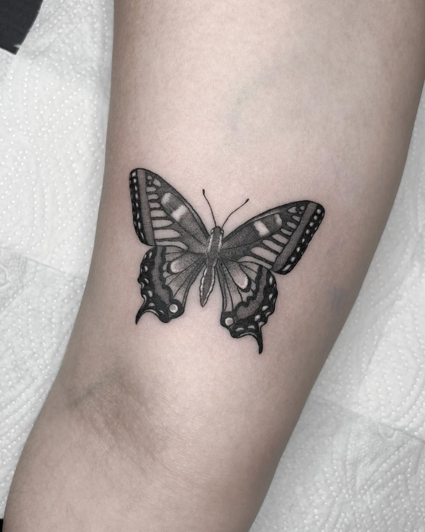 75 Beautiful Butterfly Tattoo Designs 2021 With Meanings 75 Beautiful Butterfly Tattoo Designs 2021 With Meanings