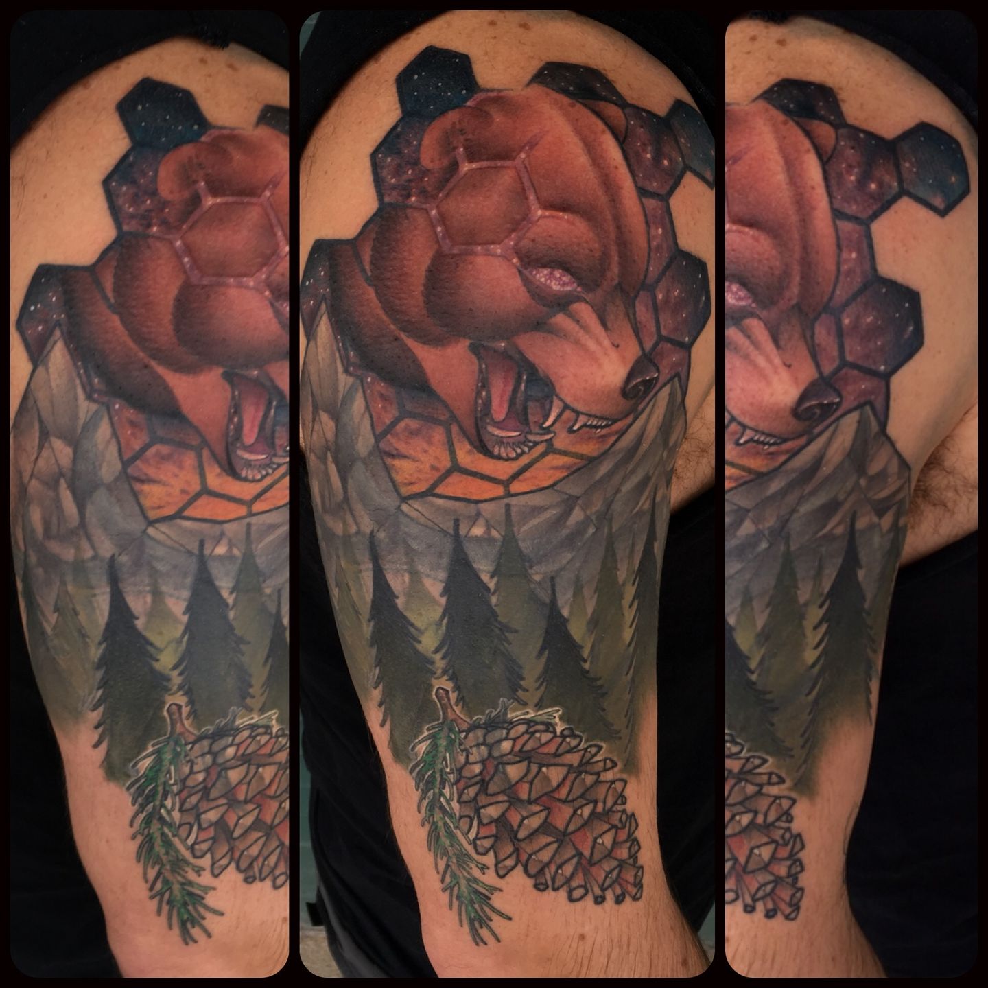 Bear Nature Sleeve Bear Nature Sleeve