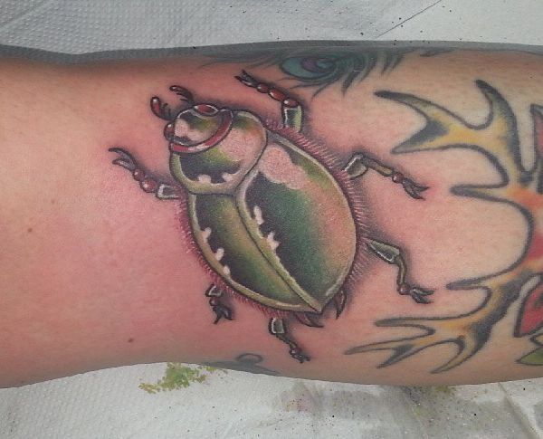 Beetle Tattoos Designs And Meanings Beetle Designs Meanings Beetle Tattoos Designs And Meanings Beetle Designs Meanings
