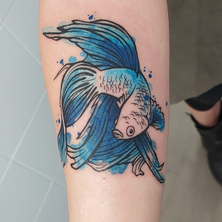 Betta Fish Tattoo Design Ideas Tatring Betta Fish Tattoo Design Ideas Tatring