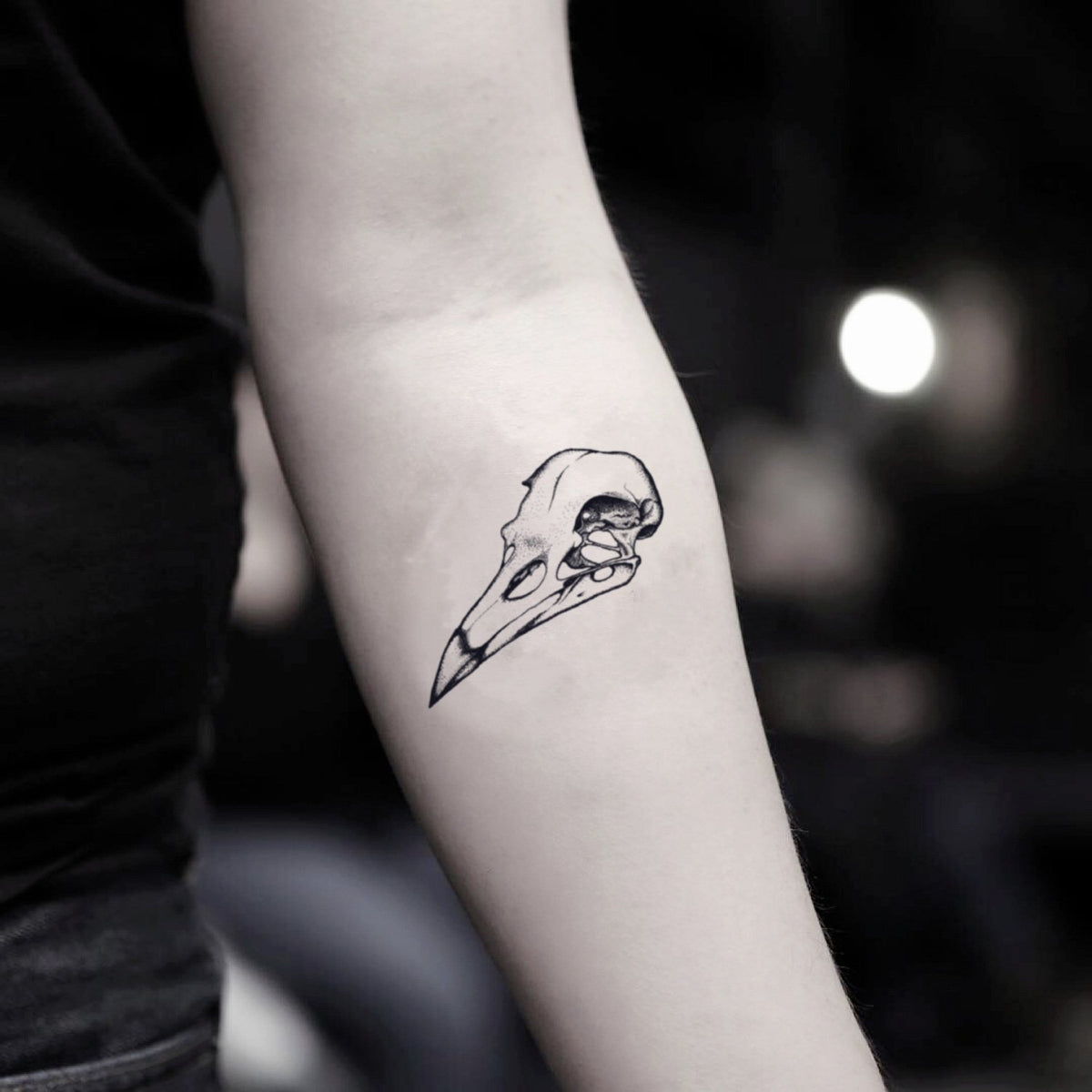 Bird Skull Skeleton Temporary Tattoo Sticker Ohmytat Bird Skull Skeleton Temporary Tattoo Sticker Ohmytat