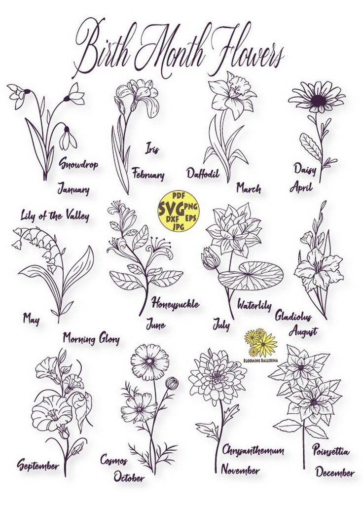 Birth Flowers Birth Flower Tattoos Birth Month Flower Vrogue Co Birth Flowers Birth Flower Tattoos Birth Month Flower Vrogue Co