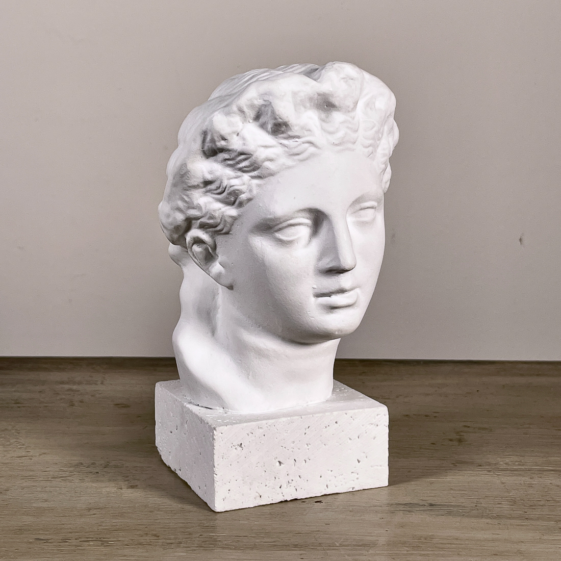 Classical Bust And Skull Tattoodo Classical Bust And Skull Tattoodo