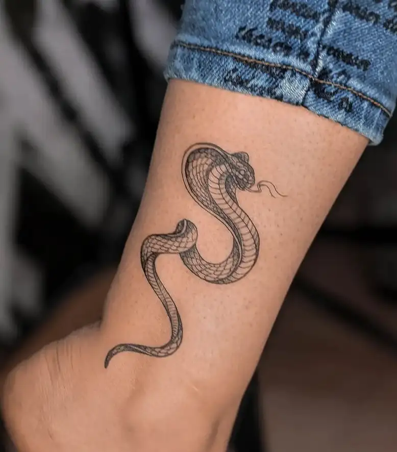 Details 73 Skull Snake Tattoo In Coedo Com Vn Details 73 Skull Snake Tattoo In Coedo Com Vn