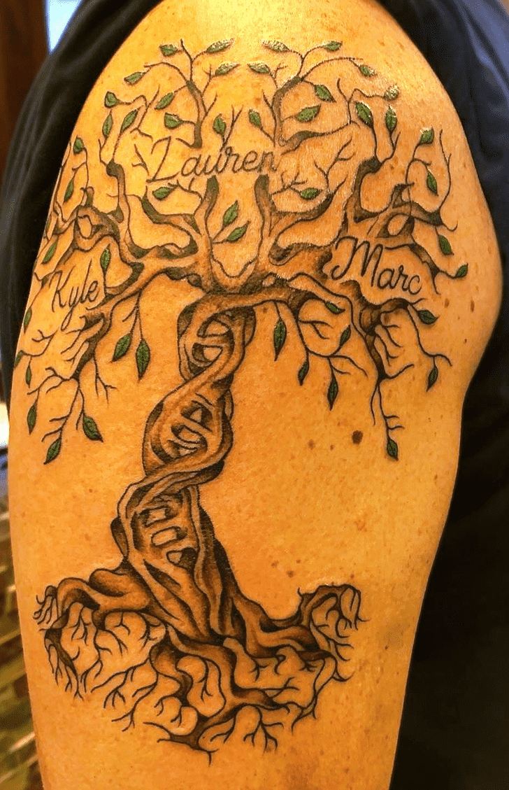 Family Tree Tattoo Design Ideas Images Family Tree Tattoo Design Ideas Images