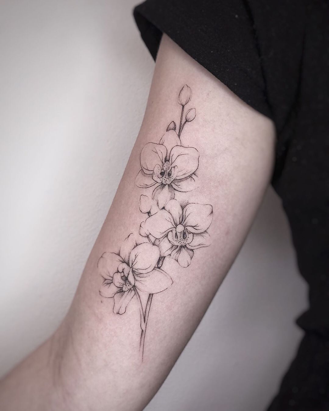 Fineline Orchids Tattoo Dagmarderksen At Blackbear Ink In 2023 Fineline Orchids Tattoo Dagmarderksen At Blackbear Ink In 2023