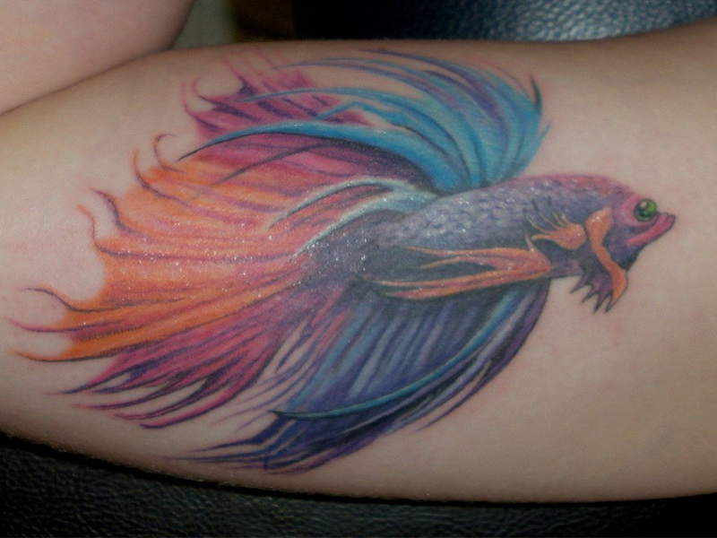 Fish Tattoos Designs Ideas And Meaning Tattoos For You Fish Tattoos Designs Ideas And Meaning Tattoos For You