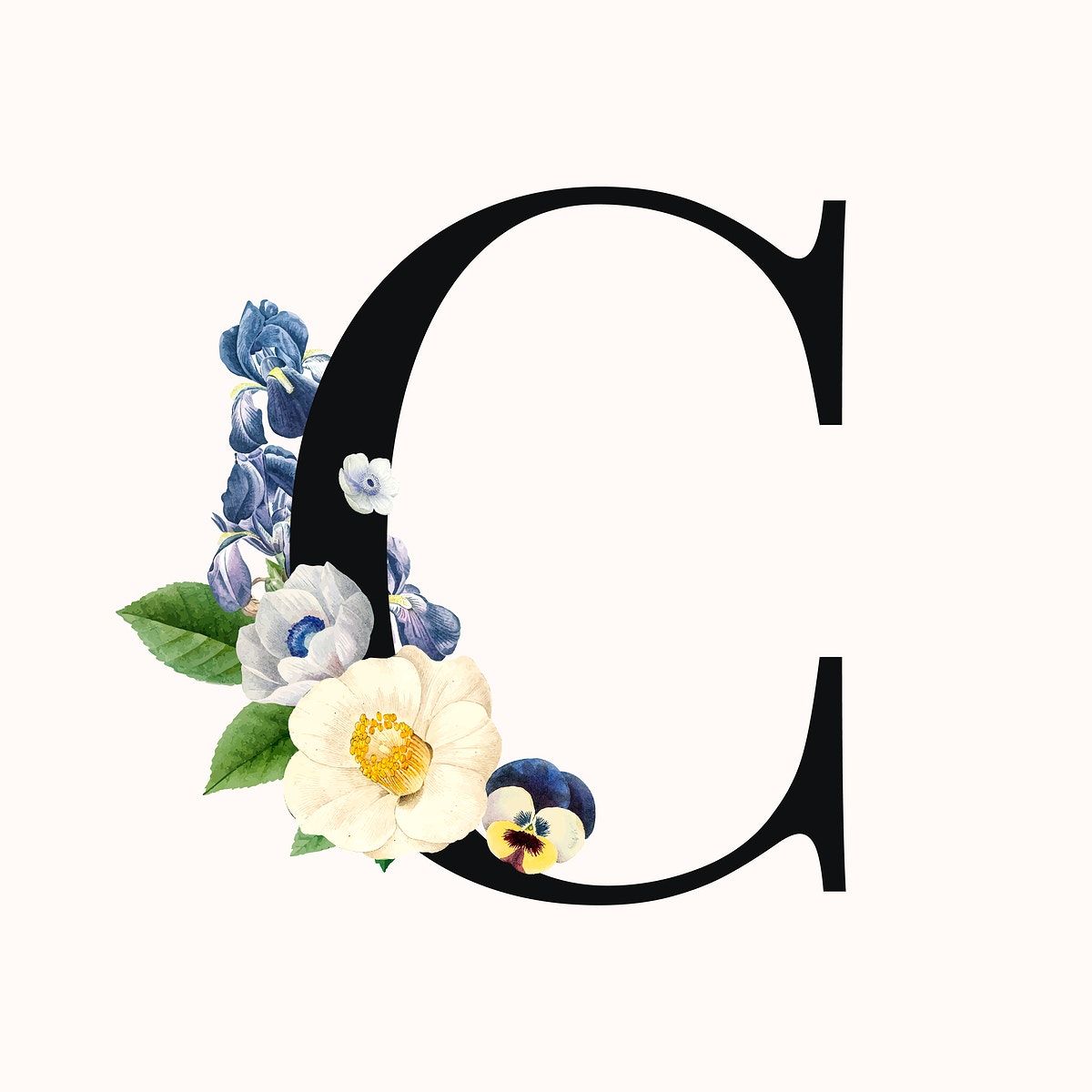 Floral Letter C Svg Flower C Monogram Font Initial Sv Vrogue Co Floral Letter C Svg Flower C Monogram Font Initial Sv Vrogue Co