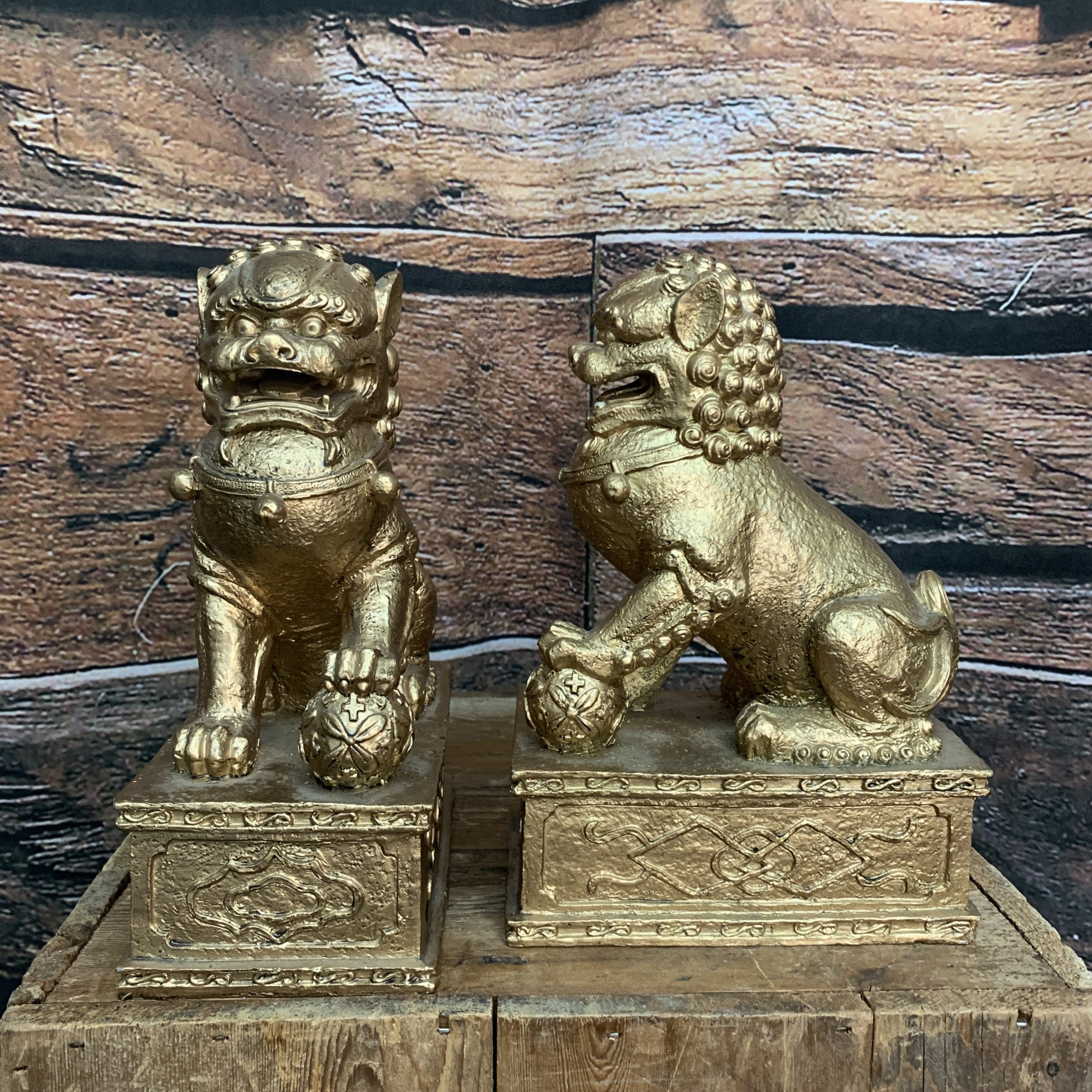 Foo Dog Foo Dog