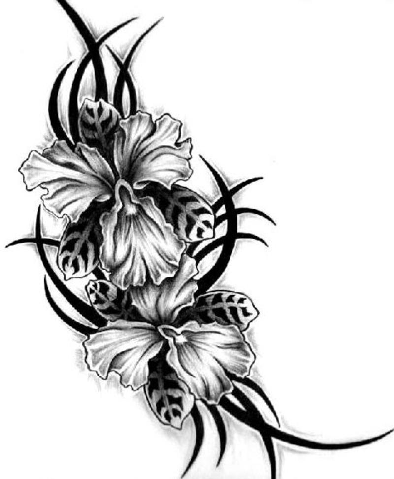 Free Black And White Flower Tattoo Designs Download Free Black And Free Black And White Flower Tattoo Designs Download Free Black And