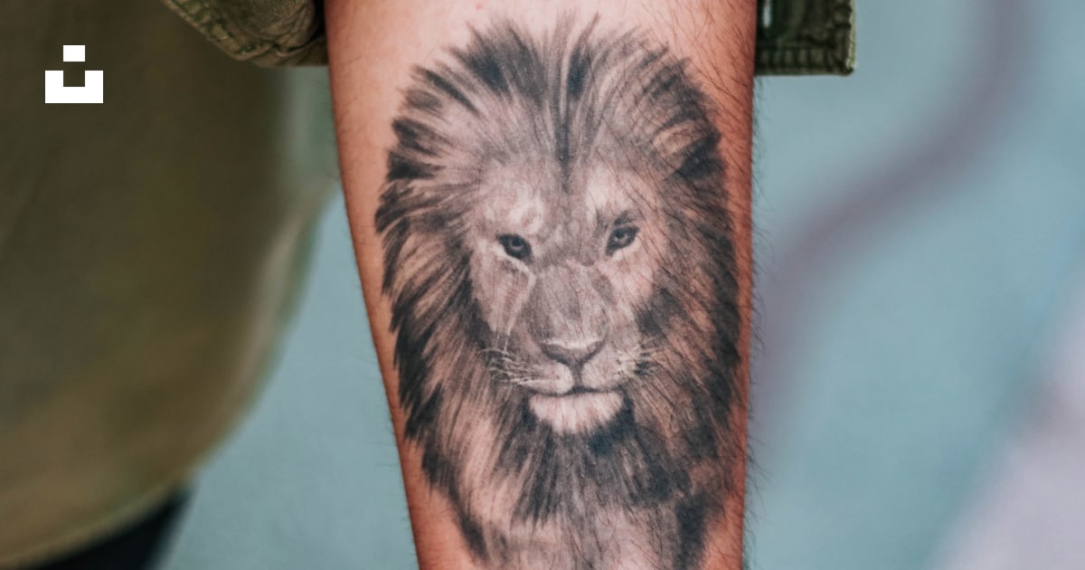 Hd Wallpaper Shallow Focus Photography Of Lion Forearm Tattoo Man Hd Wallpaper Shallow Focus Photography Of Lion Forearm Tattoo Man