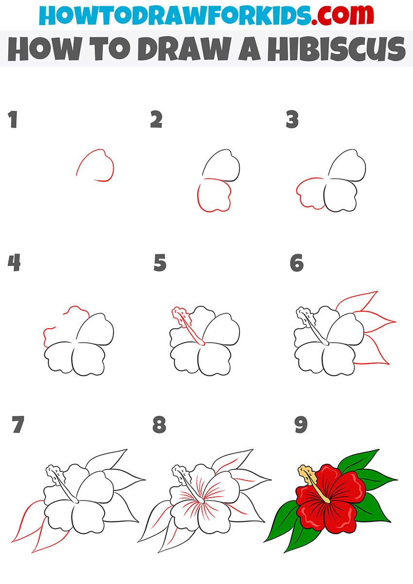 How To Draw Hibiscus Flowers Step By Step Hibiscus Flower Tattoo Youtube How To Draw Hibiscus Flowers Step By Step Hibiscus Flower Tattoo Youtube