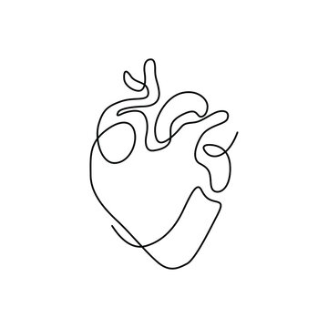Human Heart Tattoo Outline Human Heart Tattoo Outline