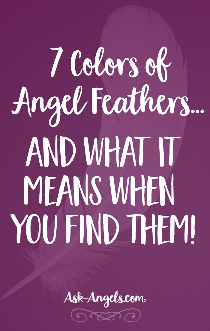 Learn Angel Feather Meanings What Do White Feathers Mean Finding Learn Angel Feather Meanings What Do White Feathers Mean Finding