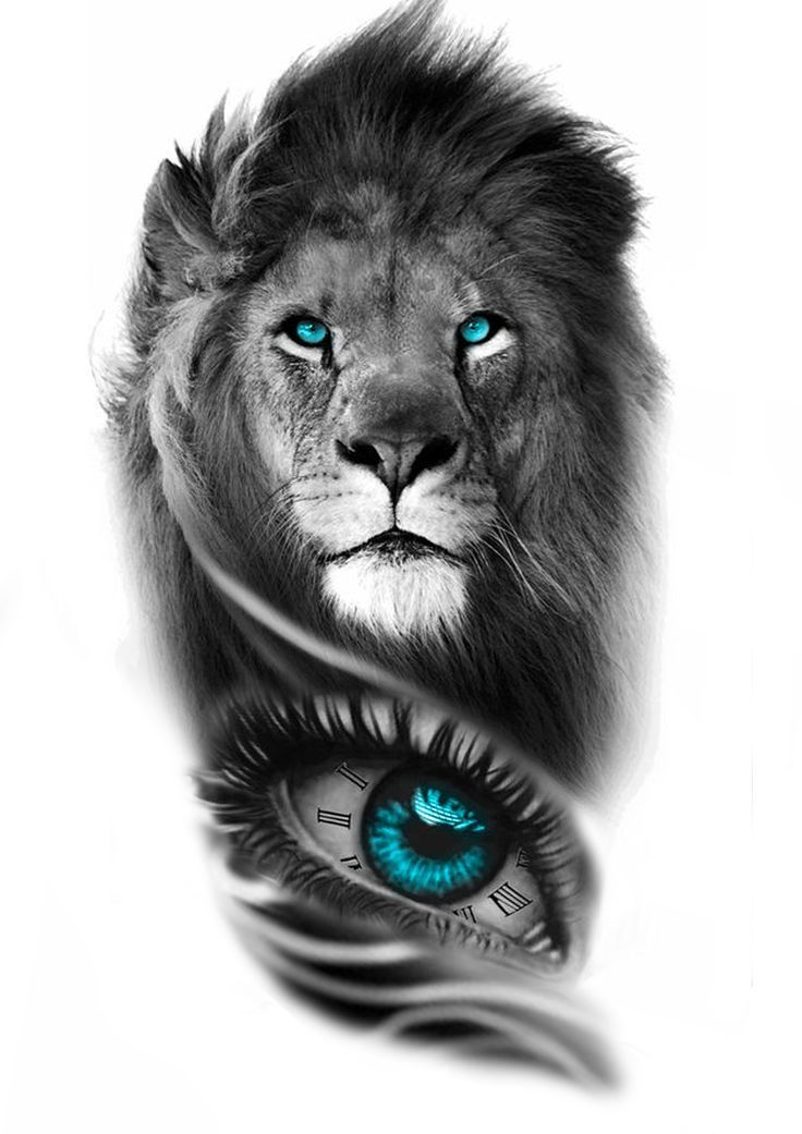 Lion Eye Tattoo Lion Eye Tattoo