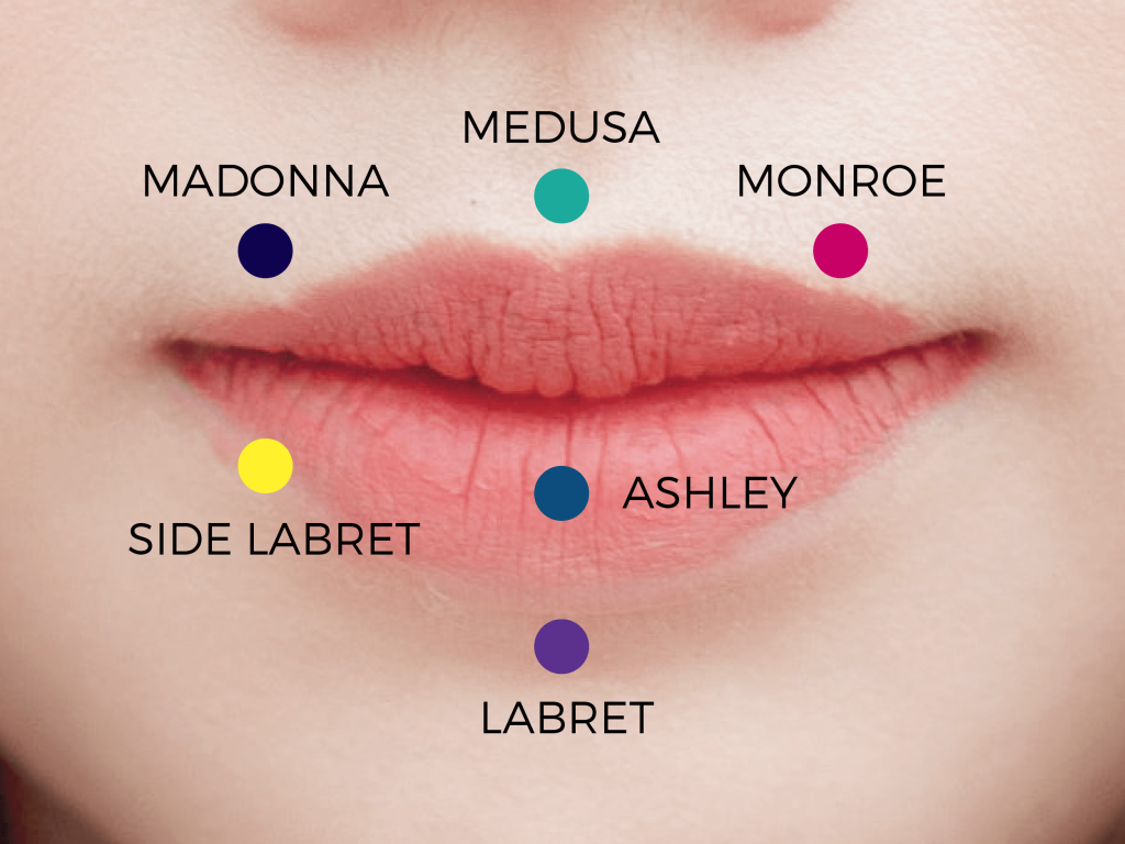 Lip Piercing Names Chart Dirim In 2021 Lip Piercing Lip Piercing Lip Piercing Names Chart Dirim In 2021 Lip Piercing Lip Piercing