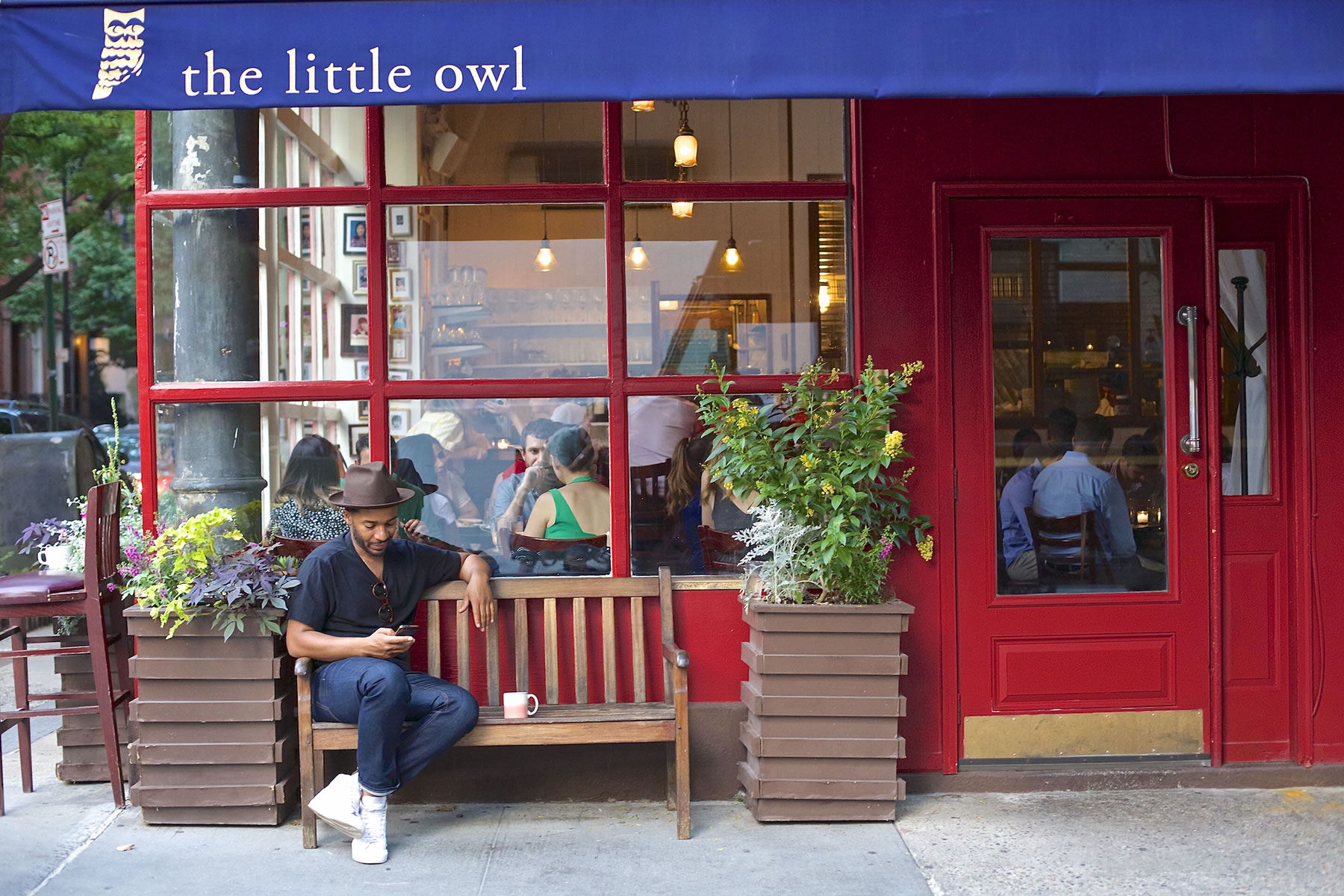 Little Owl Little Owl