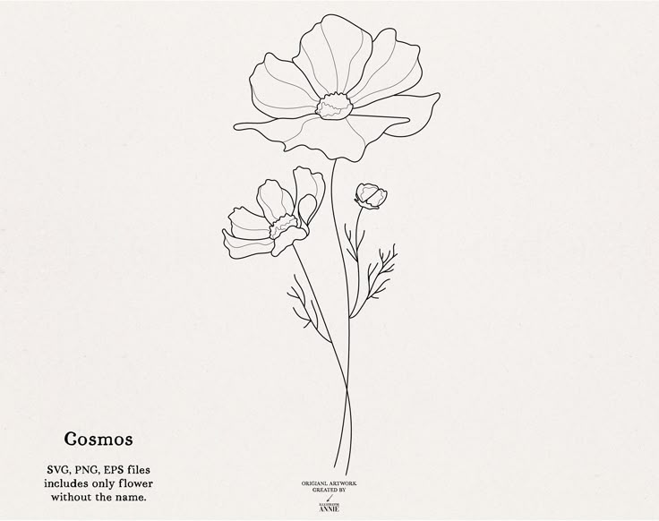 October Birth Flower Tattoo Minimalistic Birth Flower October Cosmos Flower Meaning Order And October Birth Flower Tattoo Minimalistic Birth Flower October Cosmos Flower Meaning Order And
