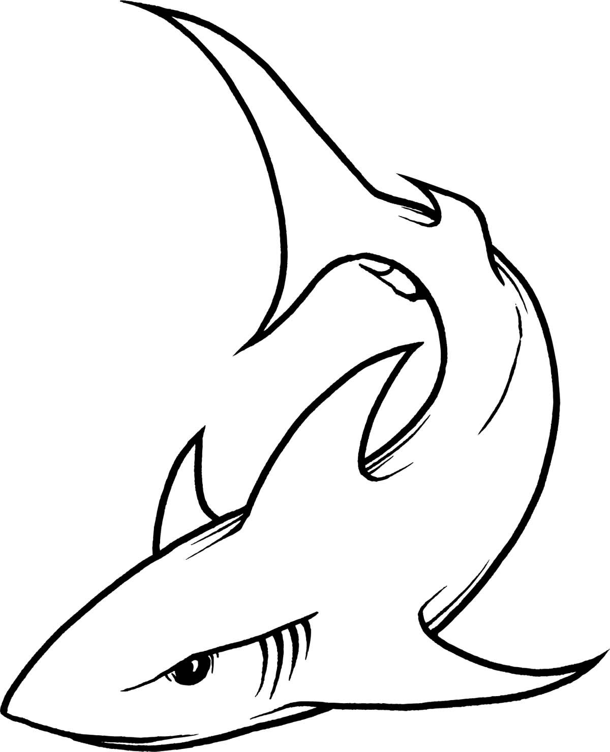 Outline Shark Tattoos Outline Shark Tattoos