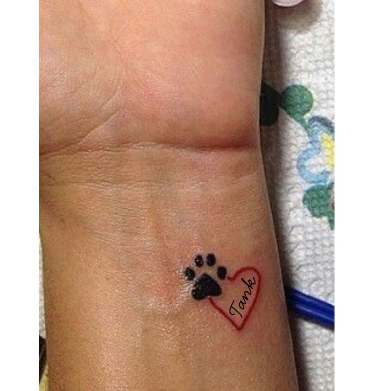 Paw Print Tattoo Tattoo Designs For Women Paw Print T Vrogue Co Paw Print Tattoo Tattoo Designs For Women Paw Print T Vrogue Co