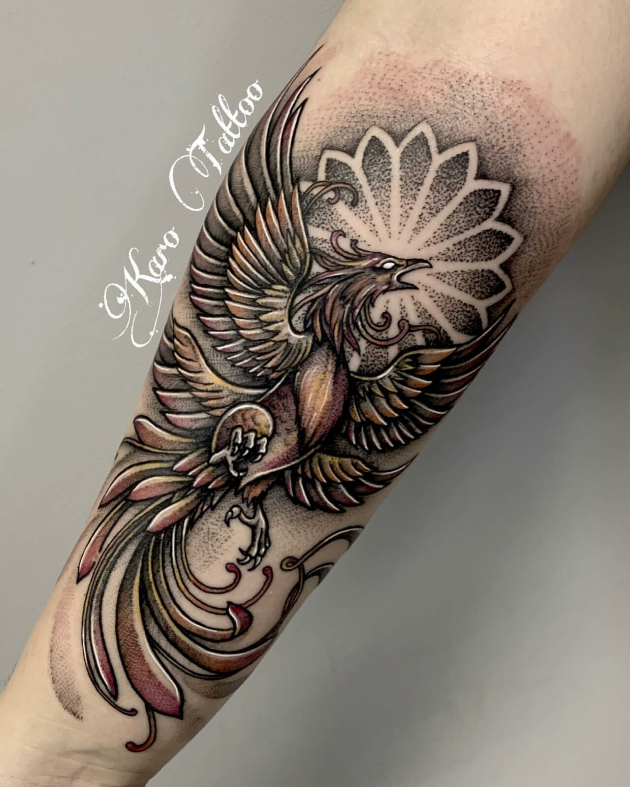 Phoenix Tattoo Tattoodo Phoenix Tattoo Tattoodo