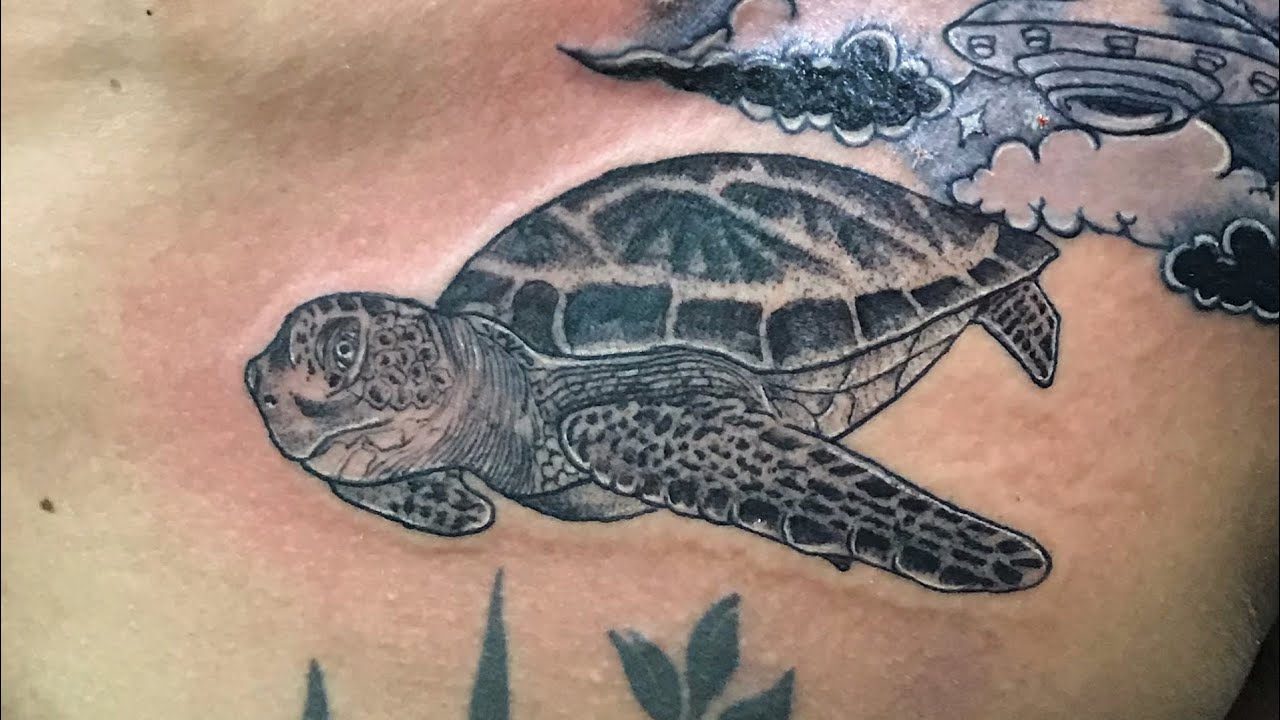 Polynesian Tribal Tattoo Shane Tattoos Polynesian Shoulder Tattoo On Polynesian Tribal Tattoo Shane Tattoos Polynesian Shoulder Tattoo On