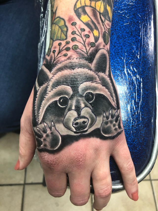 Raccoon Tattoo Tumblr Raccoon Tattoo Tumblr