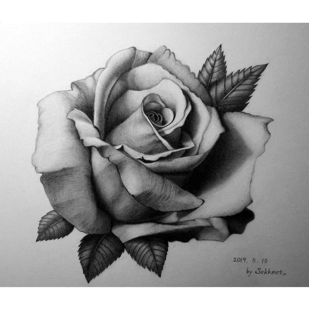 Rose Tattoo Realistic Simple Rose Tattoo Realistic Simple