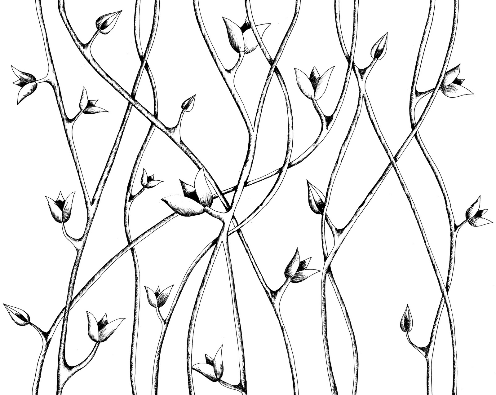 Rose Vine Drawing Designs At Getdrawings Free Download Rose Vine Drawing Designs At Getdrawings Free Download