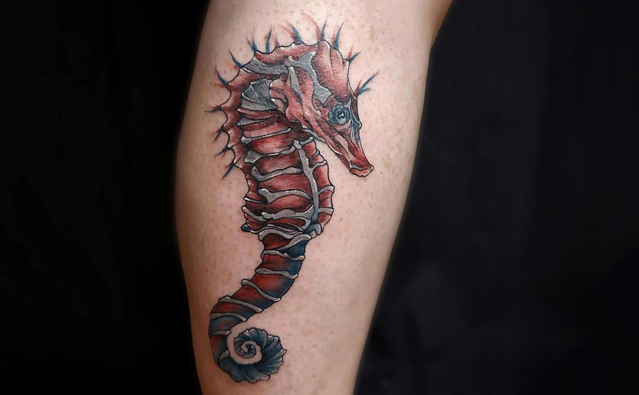 Seahorse Tattoo Wall Art For Sale Redbubble Seahorse Tattoo Wall Art For Sale Redbubble