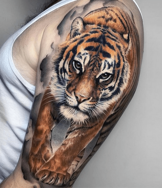 Share More Than 79 Bengal Tiger Tattoo Meaning Latest In Coedo Com Vn Share More Than 79 Bengal Tiger Tattoo Meaning Latest In Coedo Com Vn