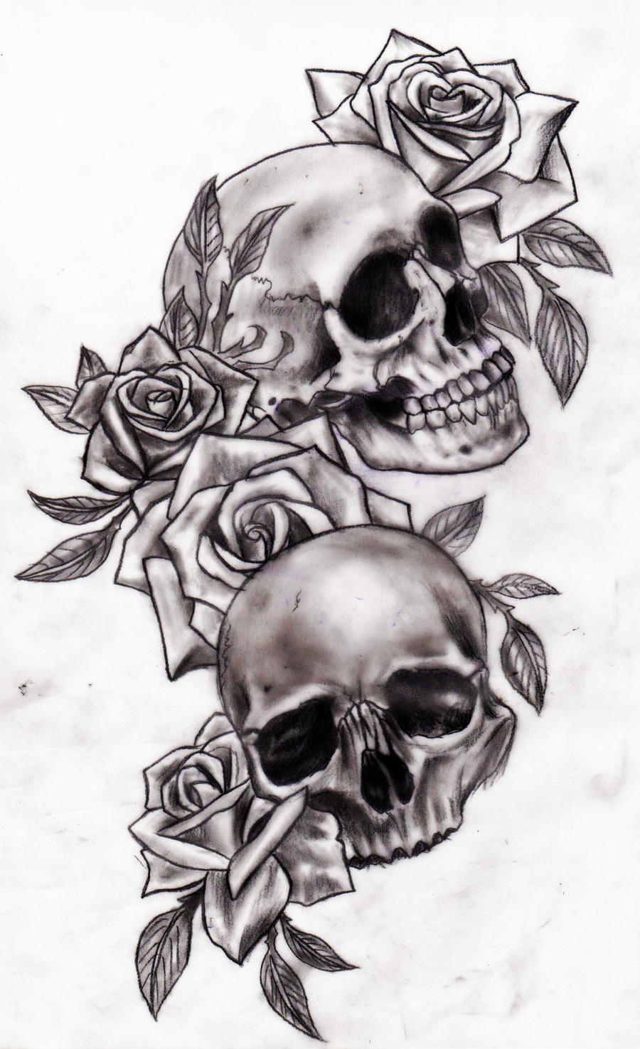Skull And Roses Skull And Roses Tattoo Design Cleanpng Skull And Roses Skull And Roses Tattoo Design Cleanpng