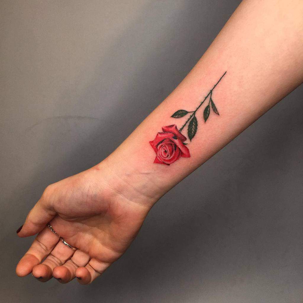 Small Rose Tattoo Tattoos Rosetattoo Little Rose Tattoos Rose Small Rose Tattoo Tattoos Rosetattoo Little Rose Tattoos Rose