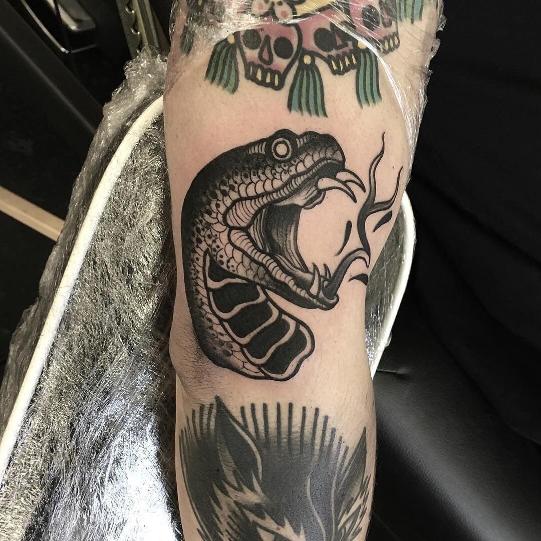 Snake Head Tattoo American Traditional Snake Head Tattoo American Traditional