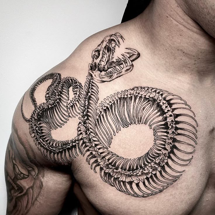 Snake Skull Tattoos Meanings Symbolism Tattoo Designs Snake Skull Tattoos Meanings Symbolism Tattoo Designs