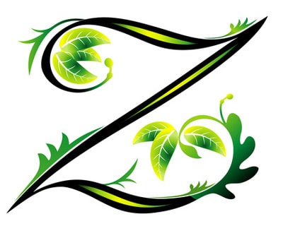 Tattoo Letter Z Tattoo Letter Z
