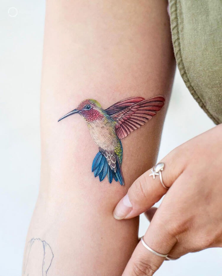 The 25 Best Hummingbird Tattoo Ideas On Pinterest Colorful The 25 Best Hummingbird Tattoo Ideas On Pinterest Colorful