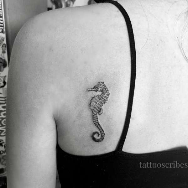 The Meaning Behind Seahorse Tattoos A Deep Dive Into Symbolism And Style The Meaning Behind Seahorse Tattoos A Deep Dive Into Symbolism And Style