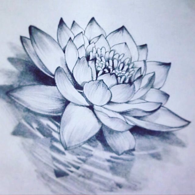 Top 119 Lotus Flower In Water Tattoo Monersathe Com Top 119 Lotus Flower In Water Tattoo Monersathe Com