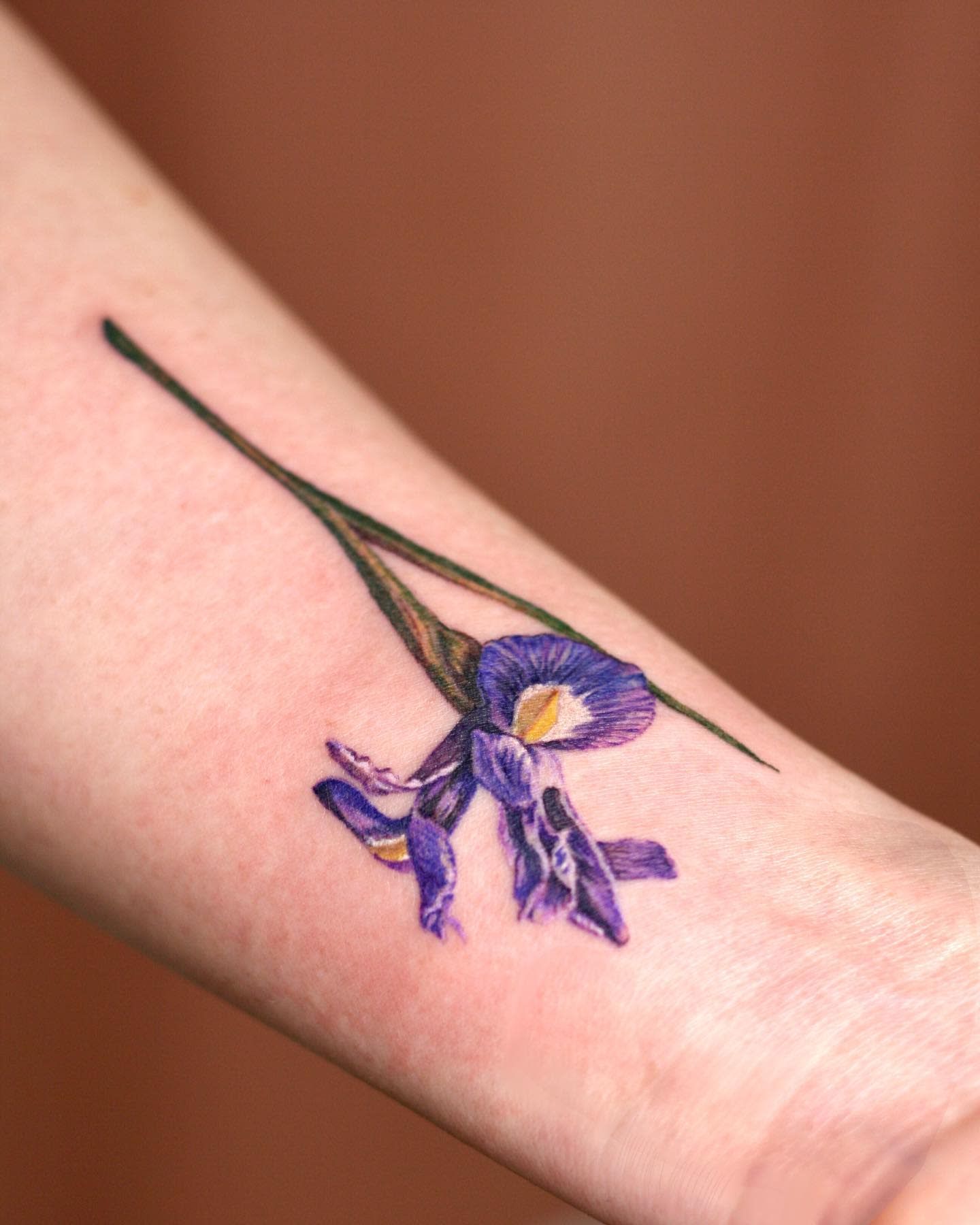 Top 53 Scroll Tattoo Ideas 2021 Inspiration Guide Top 53 Scroll Tattoo Ideas 2021 Inspiration Guide