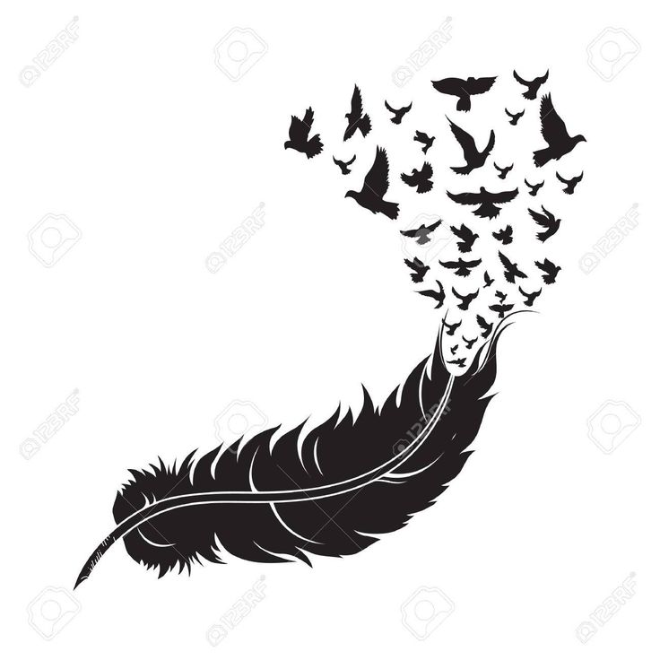 Vector Feather With Birds Animal Animals Bird Birds Black Concept Vector Feather With Birds Animal Animals Bird Birds Black Concept