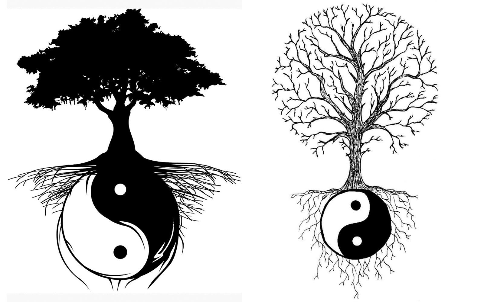 Yin Yang Tree Of Life Meaning Yin Yang Paradise Yin Yang Tree Of Life Meaning Yin Yang Paradise